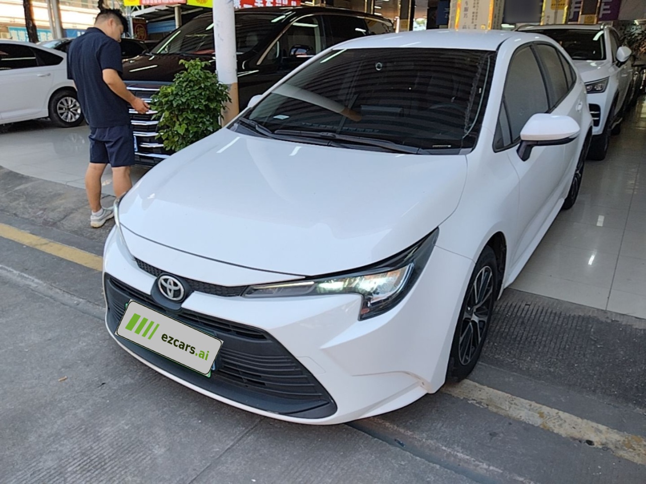 Levin 2023 TNGA 1.5L CVT Progressive