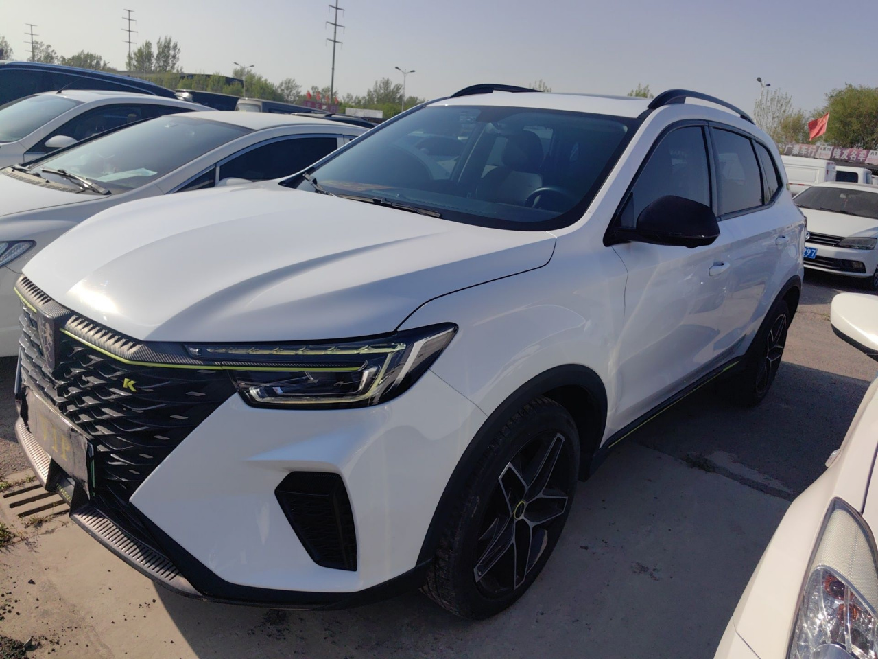 RX5 EV 2021 ePLUS Luxury