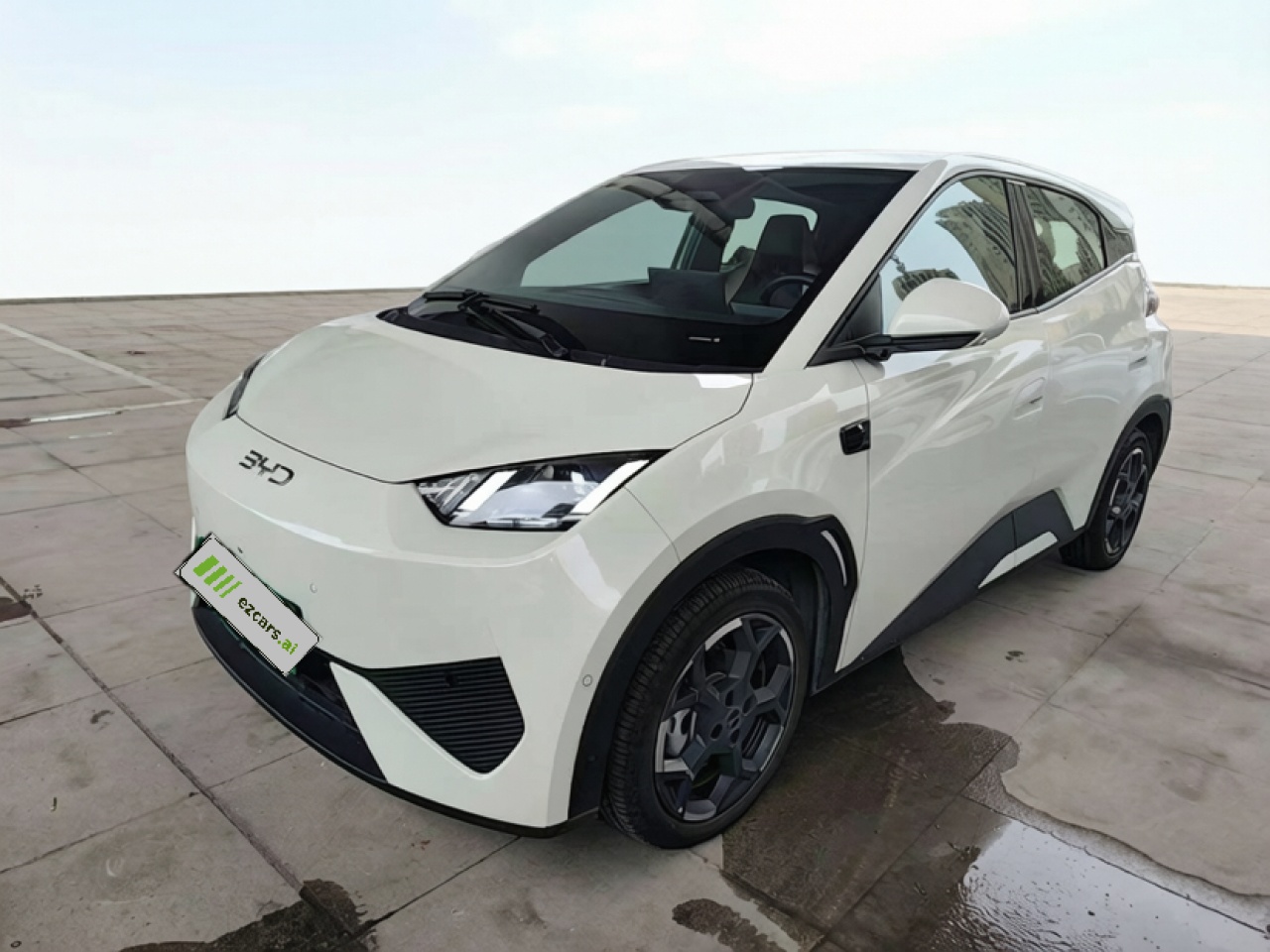 Seagull 2025 ADAS 405km