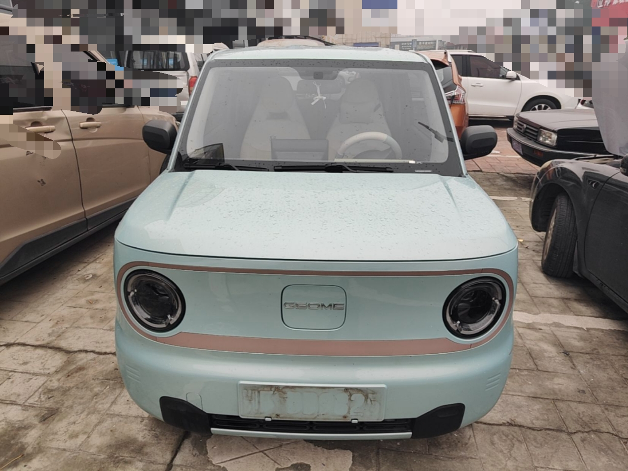 2023 Panda mini 200km Endurance Bear photo 2
