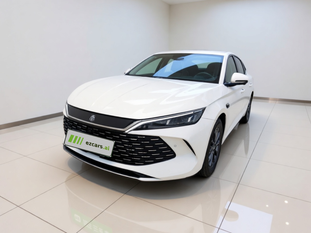 Qin L 2025 DM-i ADAS 80KM Leading
