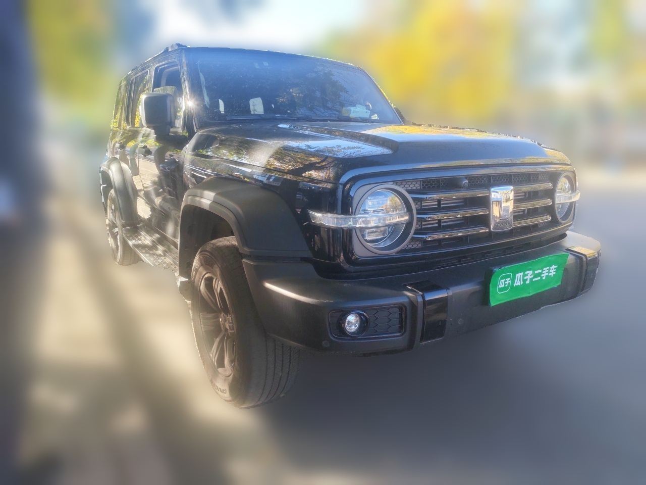 300 2023 Off-road 2.0T Conqueror photo 3