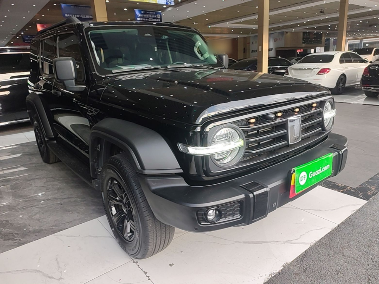 300 2021 Off-road 2.0T Conqueror photo 3