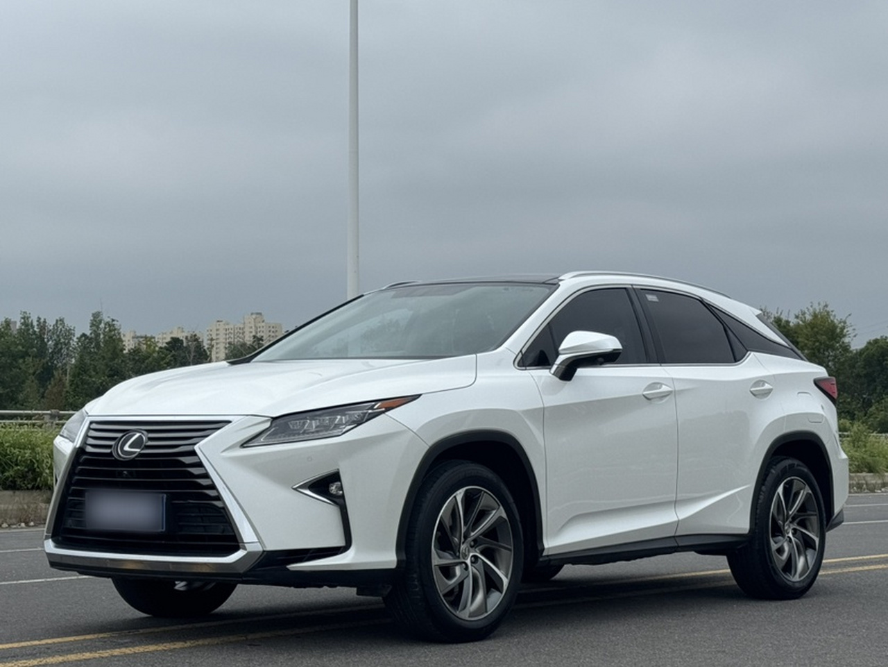 RX 2016 300 AWD Elegant China V