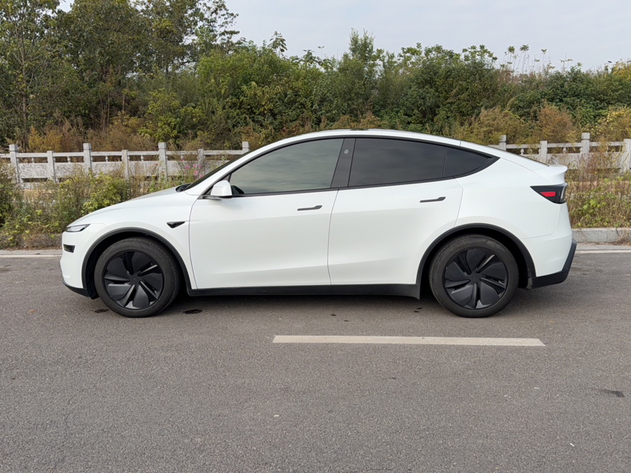 Model Y 2025 RWD photo 3