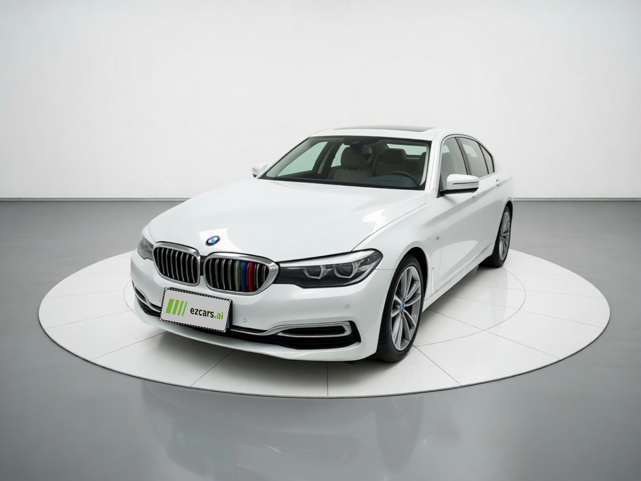 5 Series 2019 530Li Leading Luxury