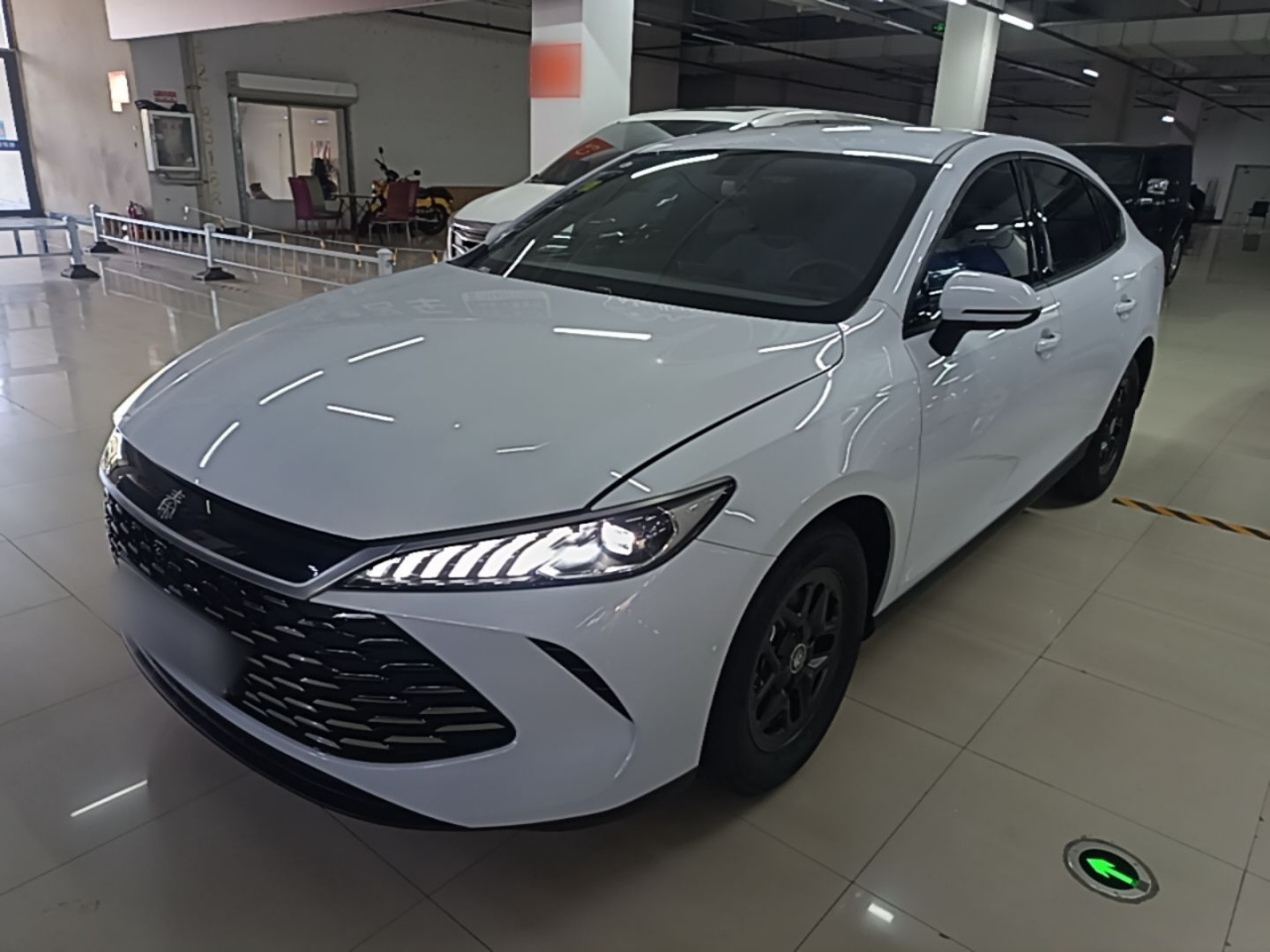 Qin PLUS 2025 DM-i ADAS 55KM Leading