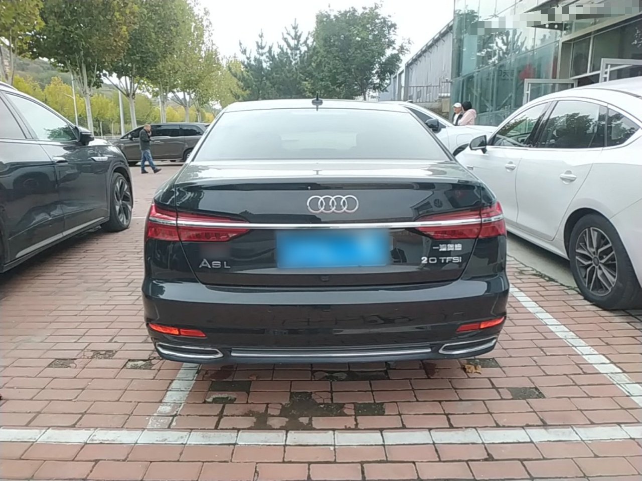 A6L 2021 40 TFSI Luxury photo 5