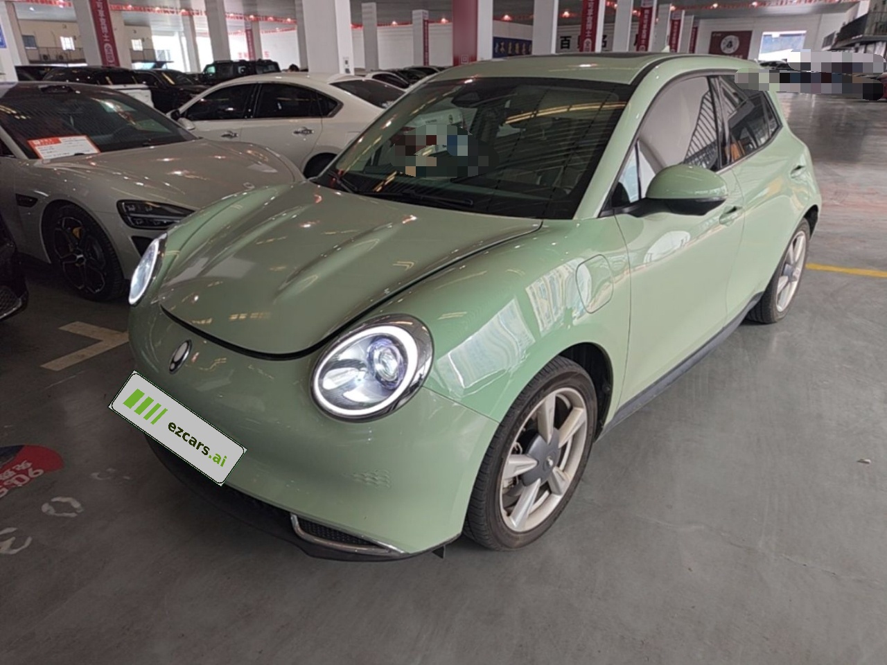 Good Cat 2023 401km Standard Range Premium LFP