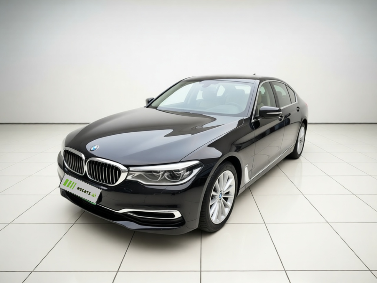 5 Series 2019 Facelift 530Li Exclusive Luxury