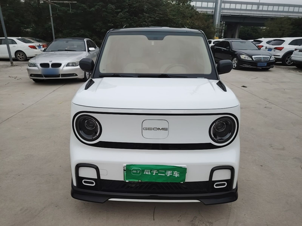2025 210km Panda photo 2