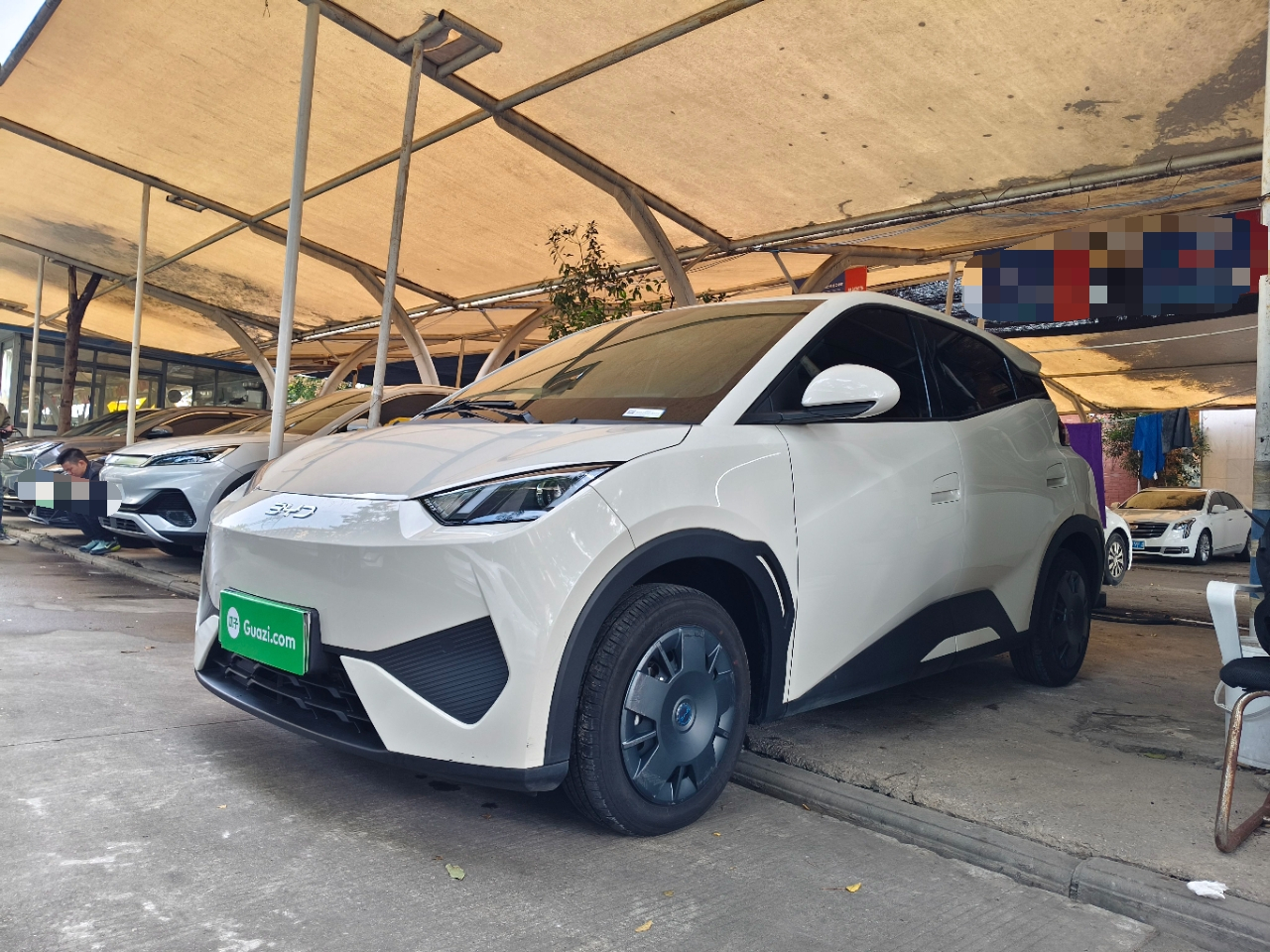 Seagull 2025 ADAS 305km