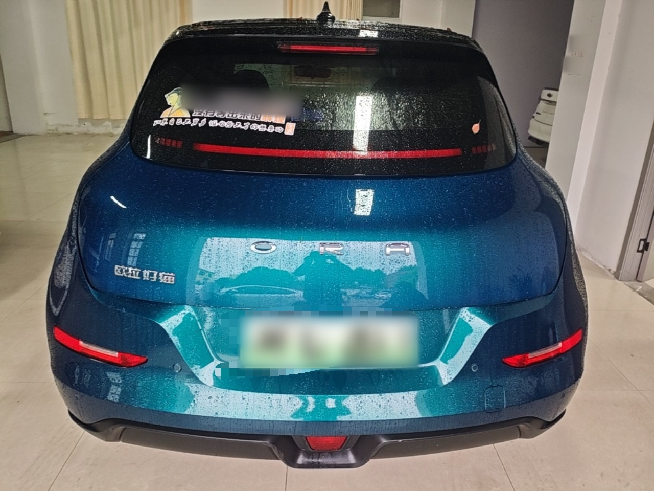 Good Cat 2021 400km Standard Range NCM photo 3