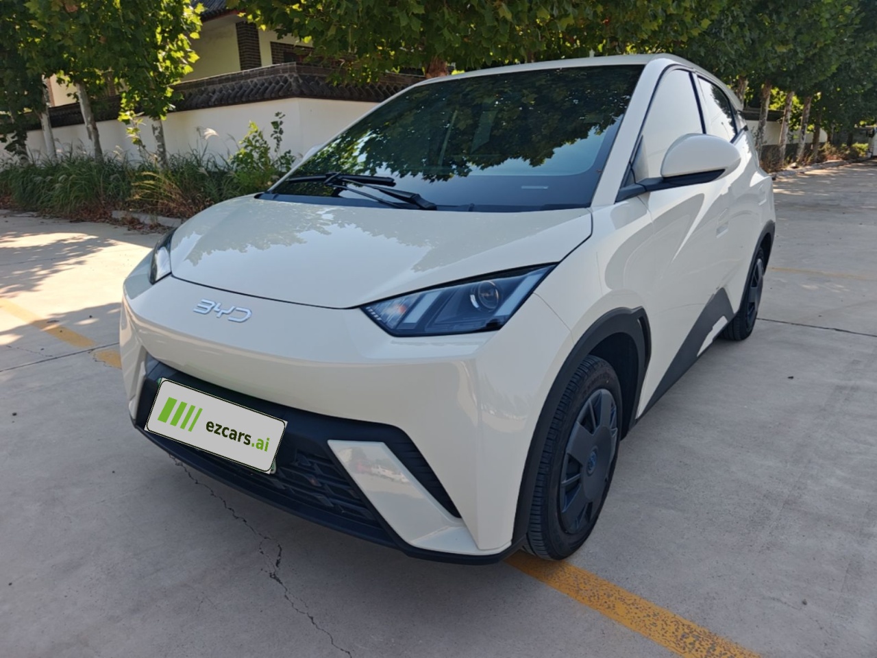 Seagull 2025 305km