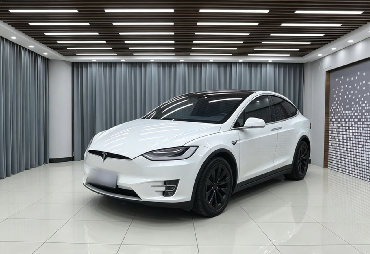 Model X 2019 Long Range