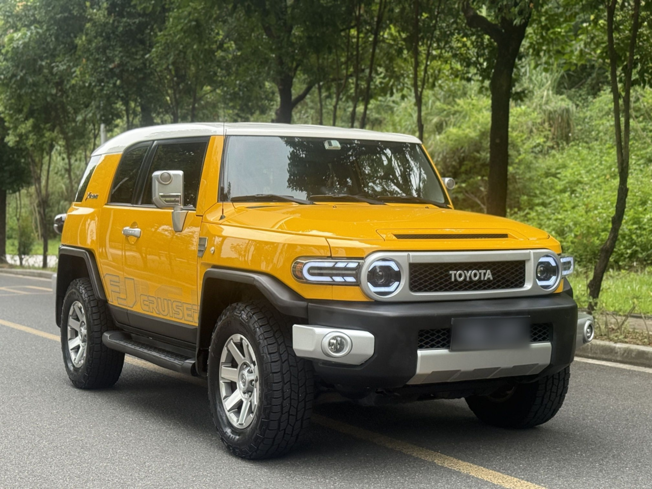 FJ 2013 4.0L photo 3