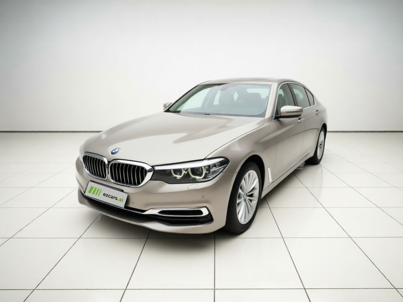 5 Series 2020 525Li Luxury