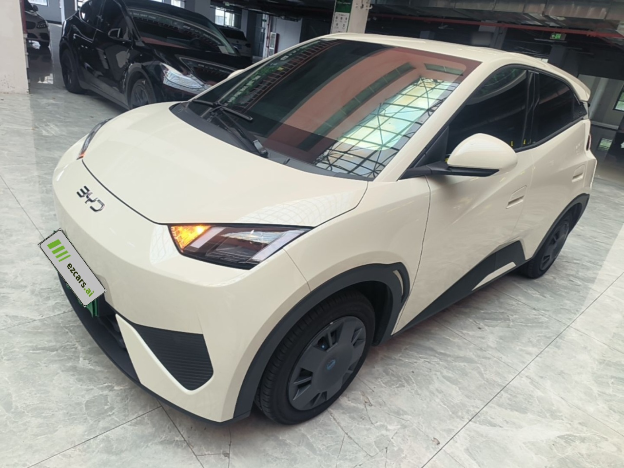 Seagull 2025 ADAS 305km