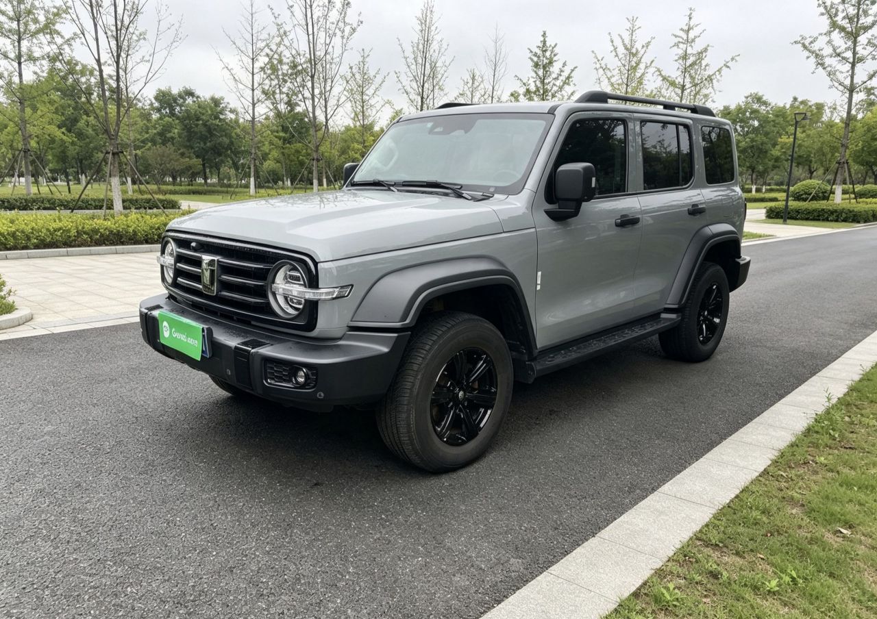 300 2021 Off-road 2.0T Conqueror