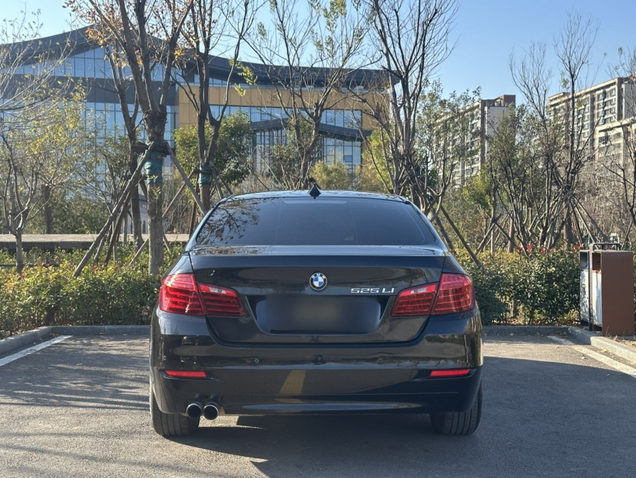 5 Series 2014 525Li Leading photo 4