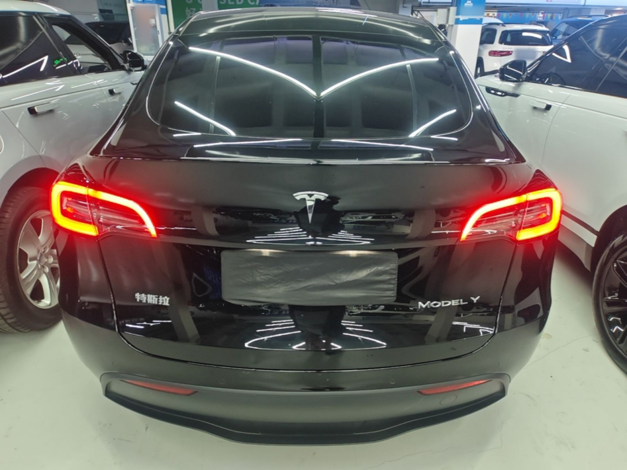 Model Y 2021 Standard Range RWD photo 5