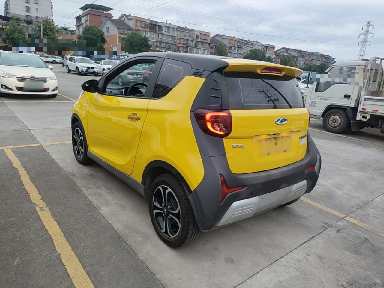 QQ Little Ant 2021 15 LFP photo 4