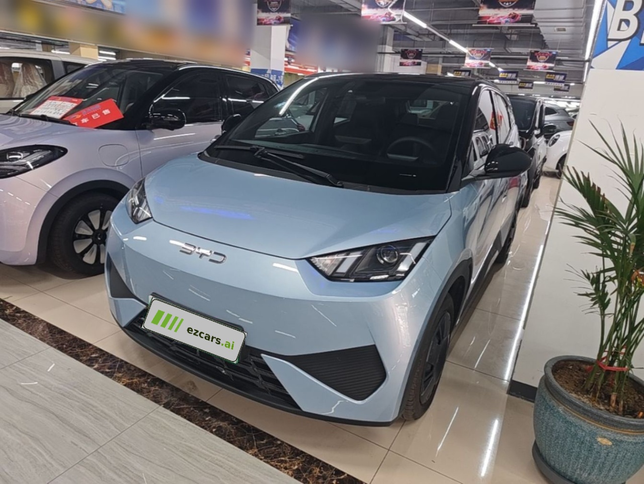 Seagull 2025 ADAS 305km
