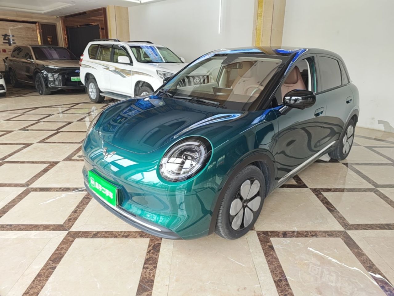 Bingo Pro 2026 330km Flagship