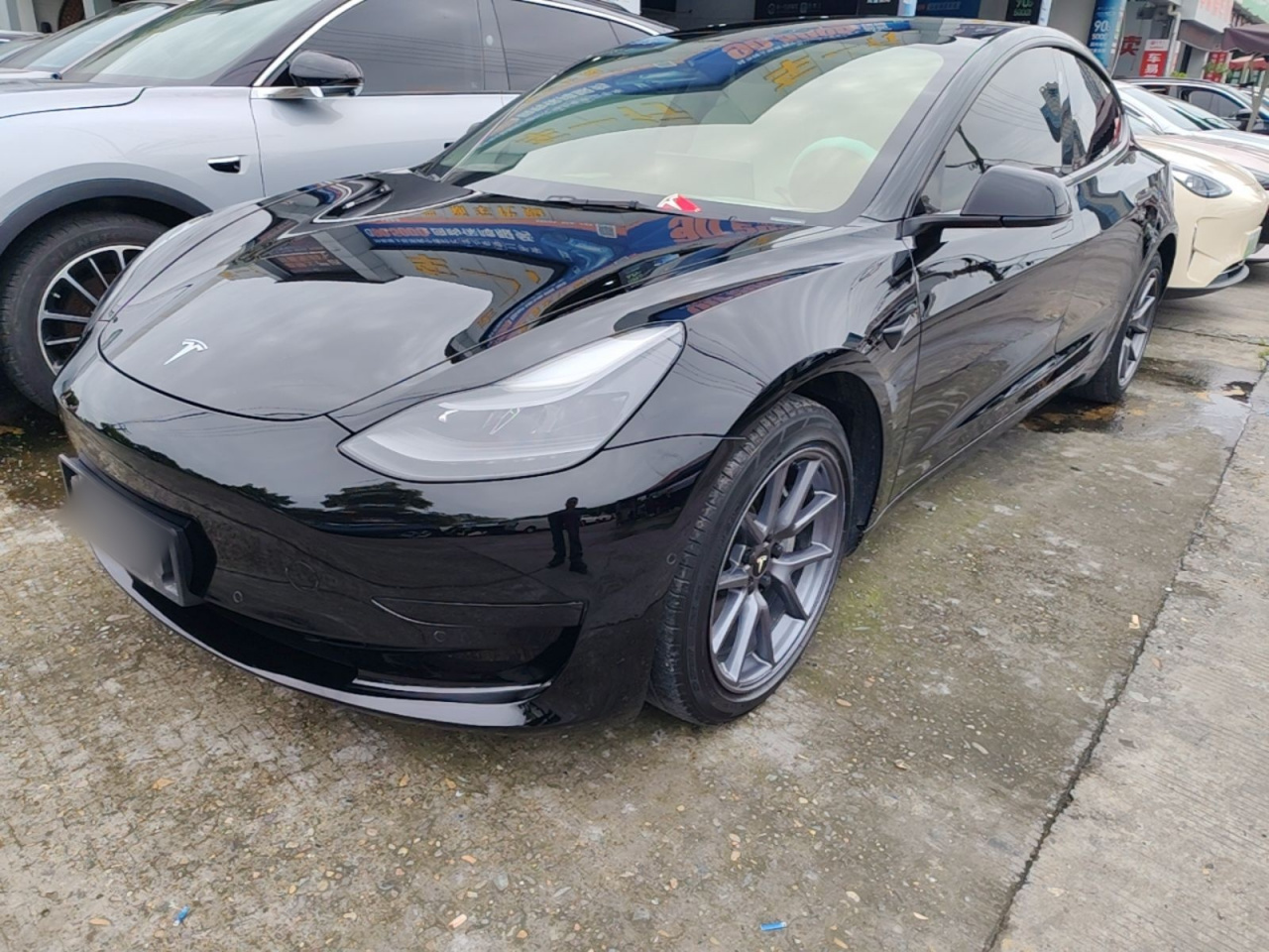 Model 3 2021 Standard Range RWD Upgraded 3D6