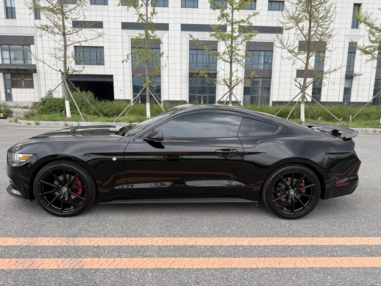 Mustang Parallel Import photo 3