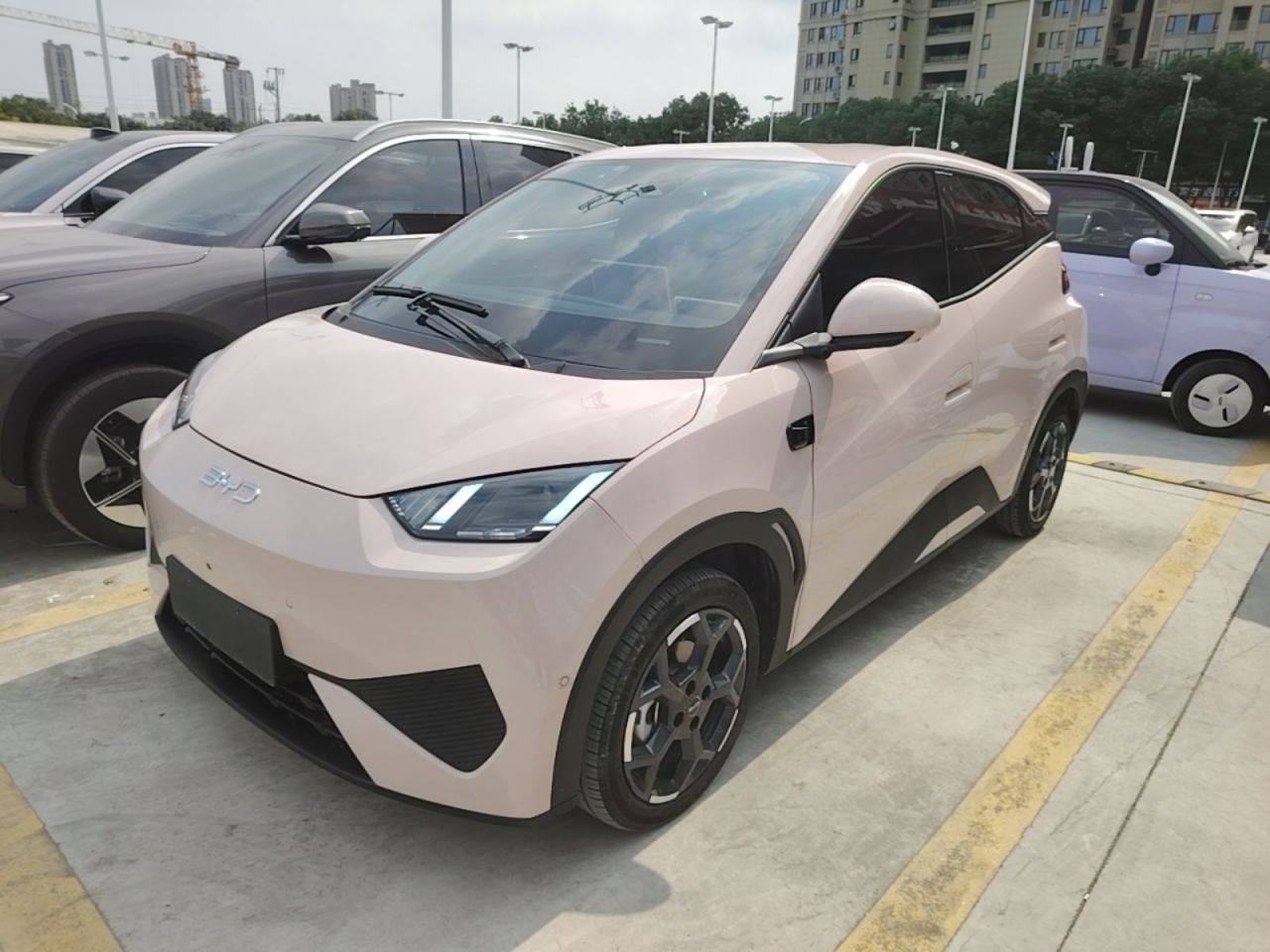 Seagull 2025 ADAS 305km