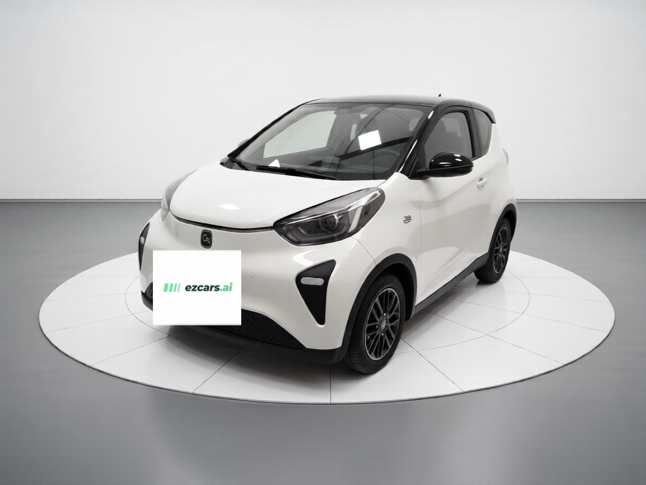 QQ Little Ant 2024 321km