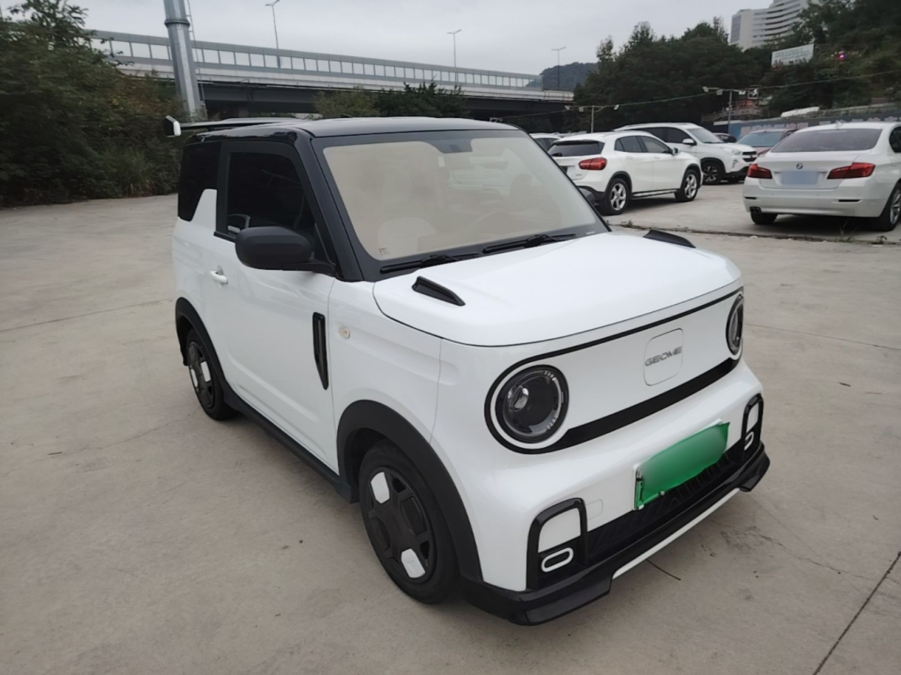 2025 210km Panda photo 3