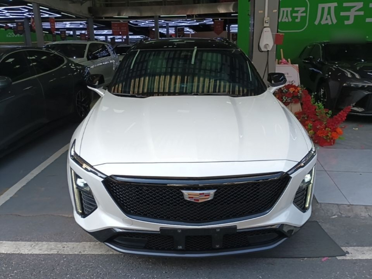 GT4 2023 25T Luxury photo 2