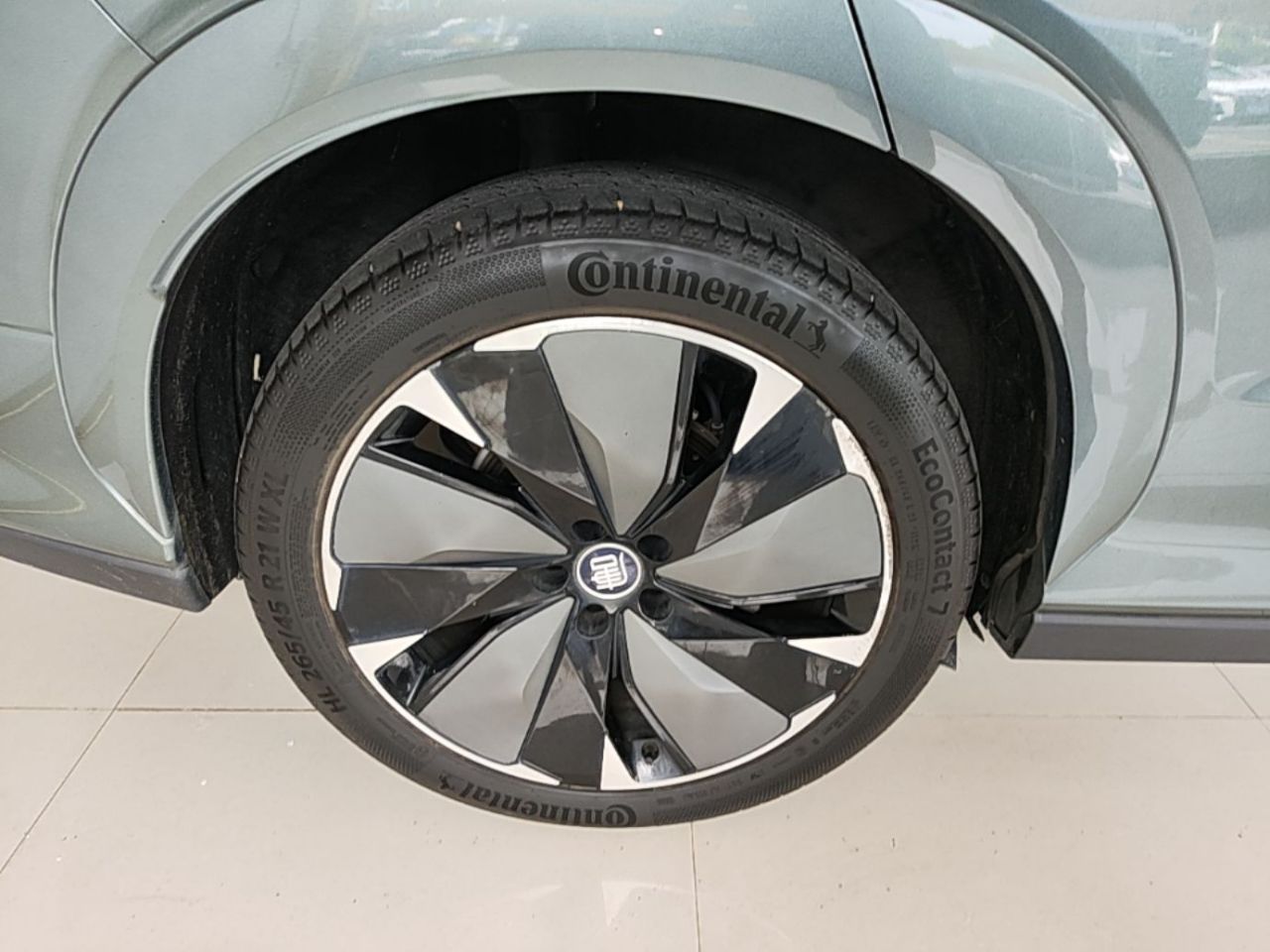 Tang L 2025 DM 175KM photo 4