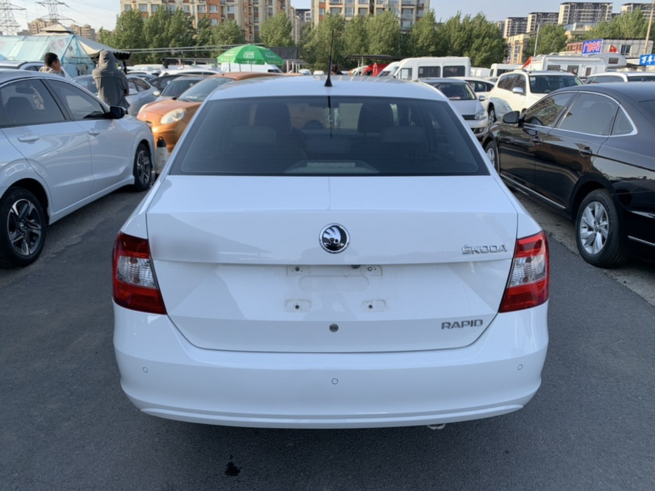 Rapid 2015 1.6L AT photo 4