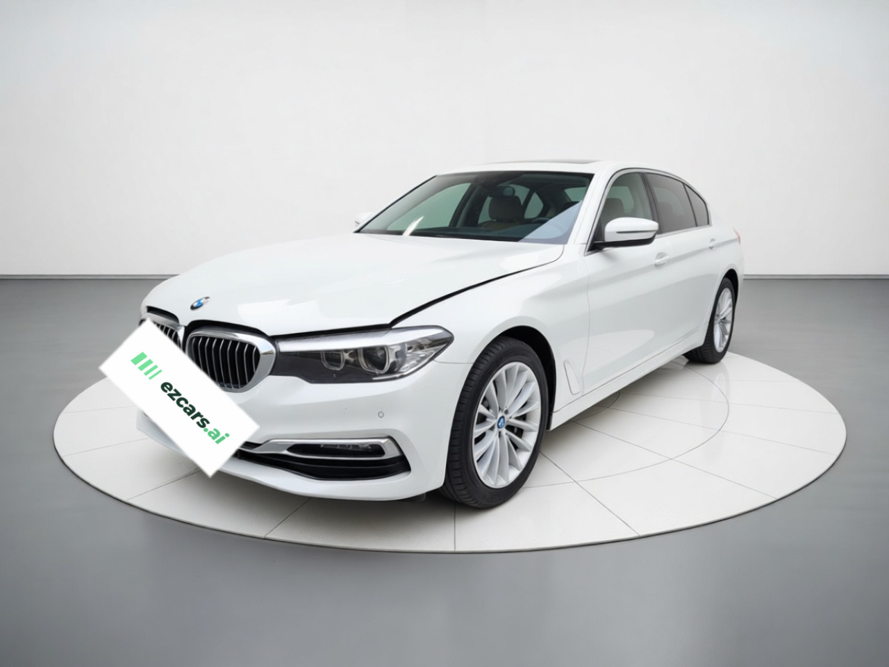 5 Series 2019 530Li Leading Luxury
