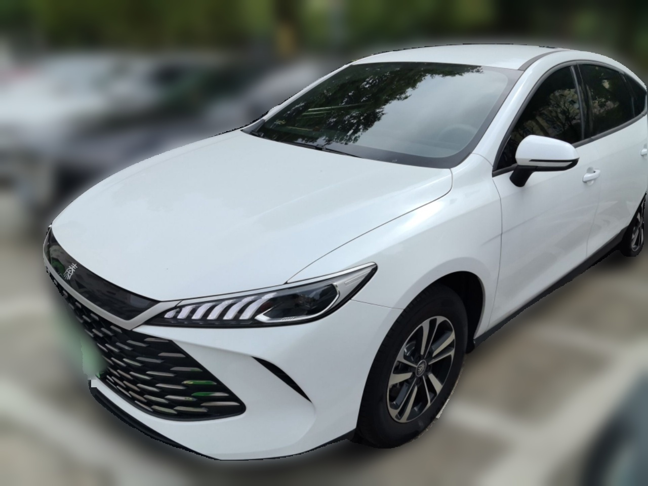 Qin PLUS 2025 DM-i ADAS 128KM Progressive