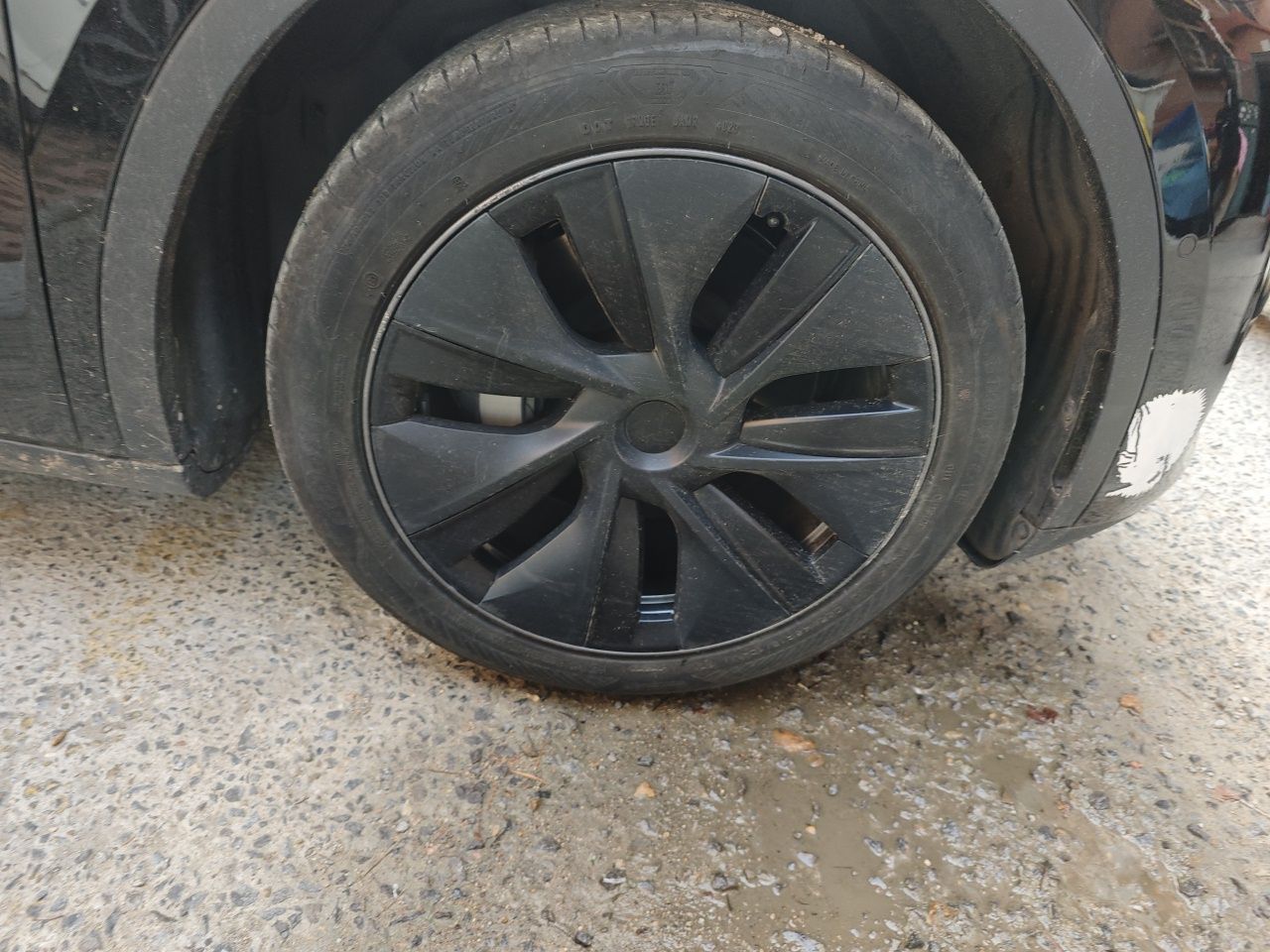 Model Y 2023 RWD photo 5