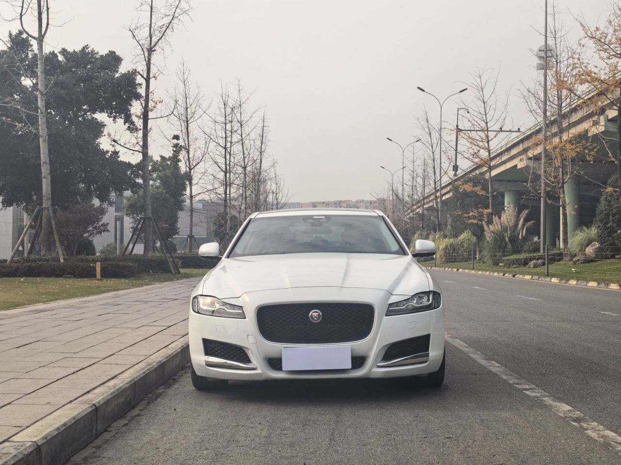 XFL 2018 XFL 2.0T 250PS Luxury photo 3