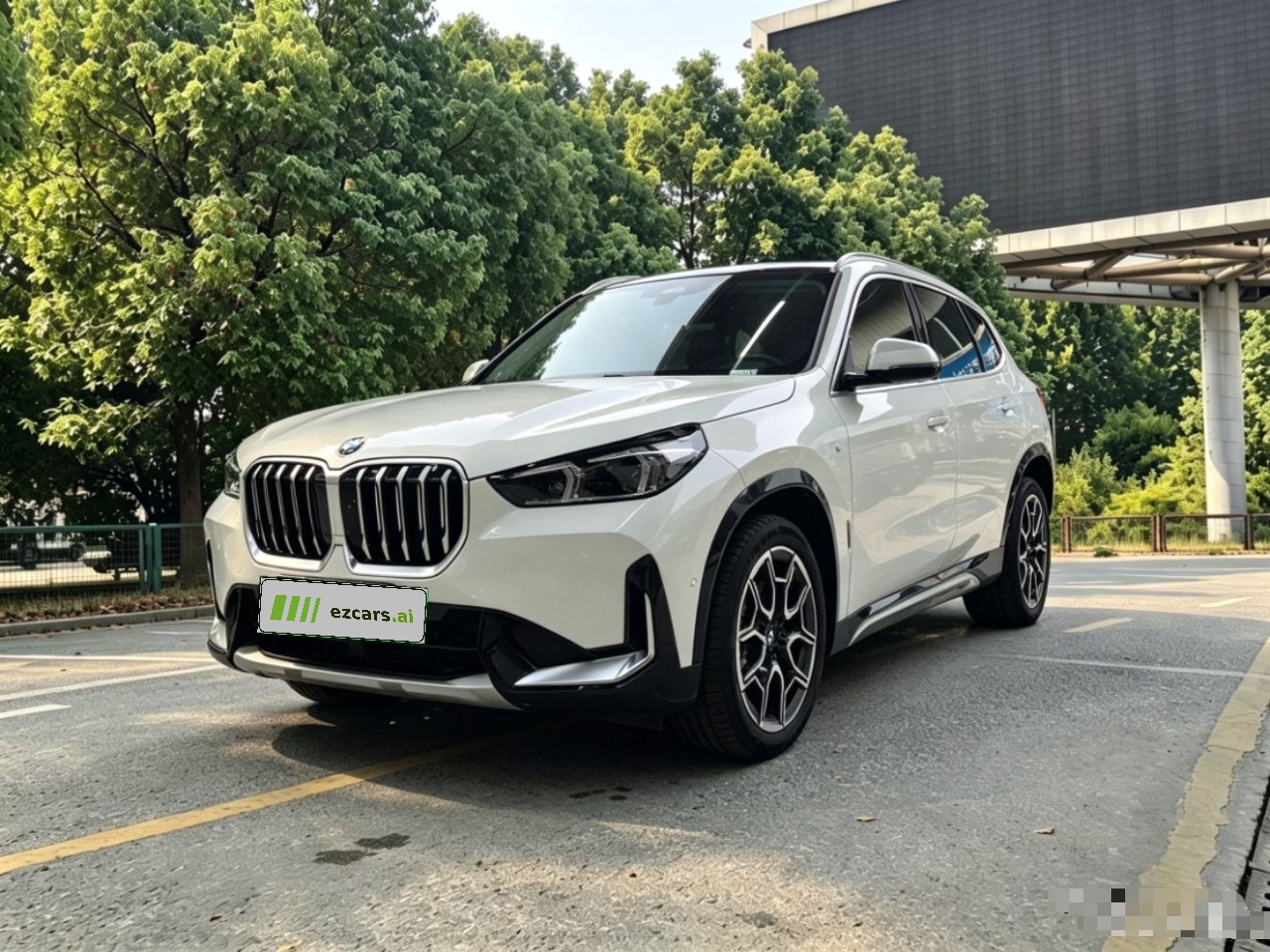 X1 2023 sDrive25Li X Design Package
