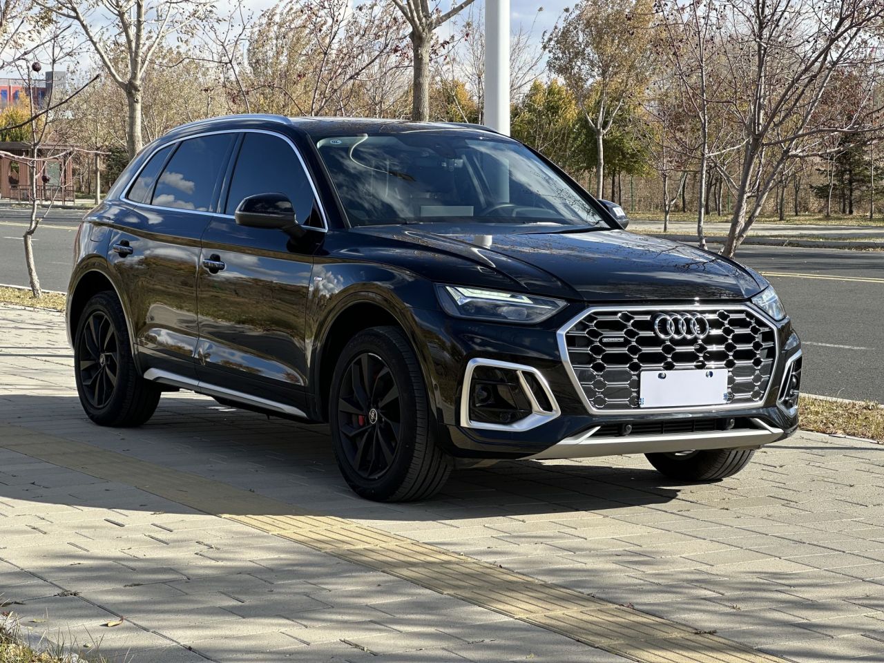 Q5L 2021 40 TFSI Luxury Dynamic photo 3