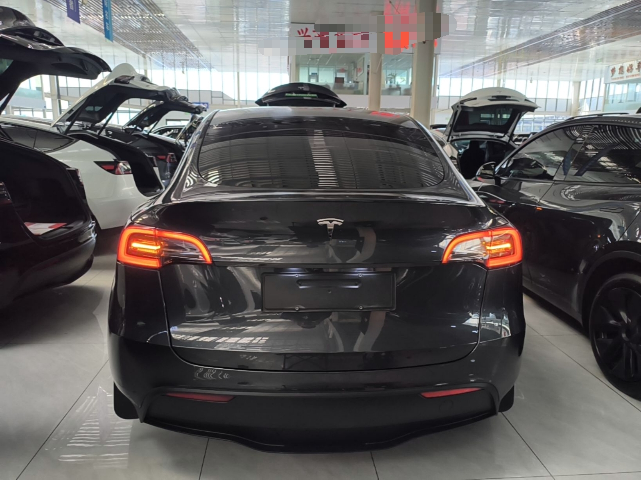 Model Y 2024 RWD photo 3