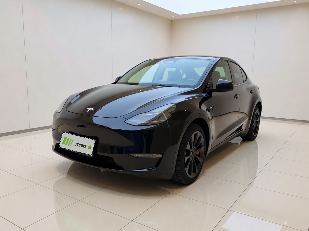 Model Y 2021 Standard Range RWD