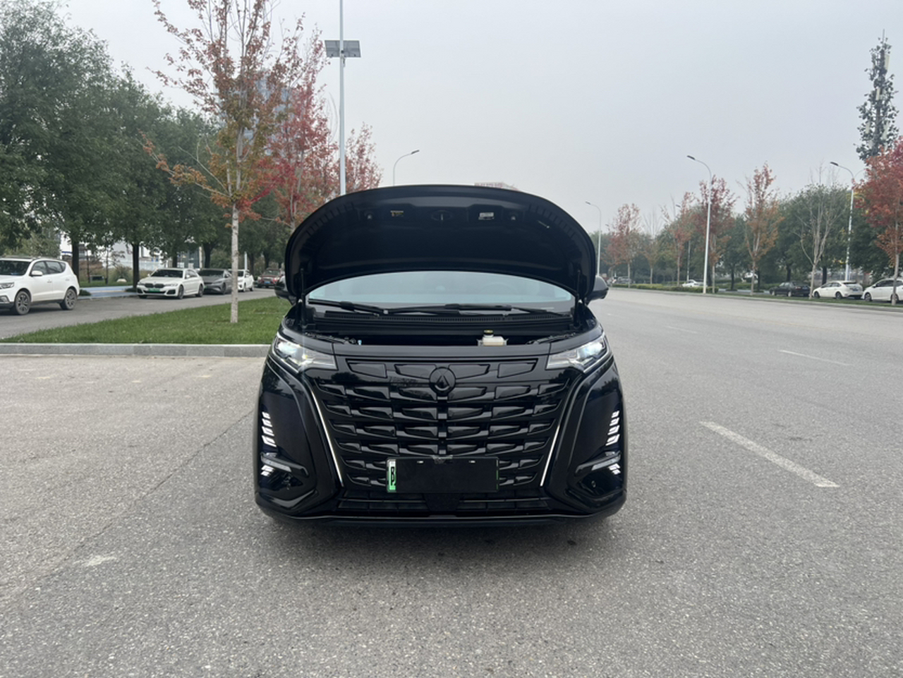D9 2024 DM-i 980 AWD Noble photo 4