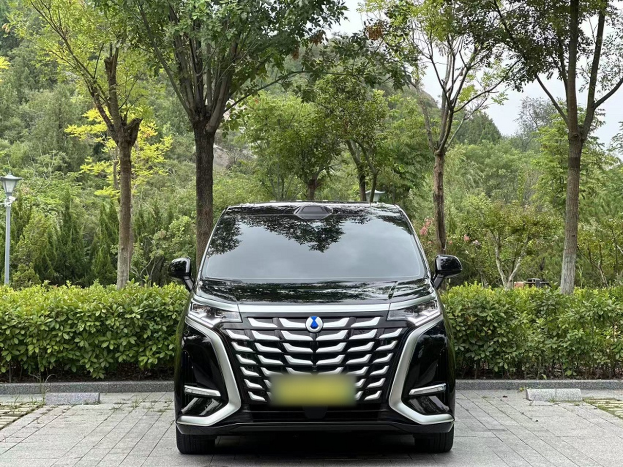 D9 2025 DM-i ADAS 1020 AWD Exclusive photo 2