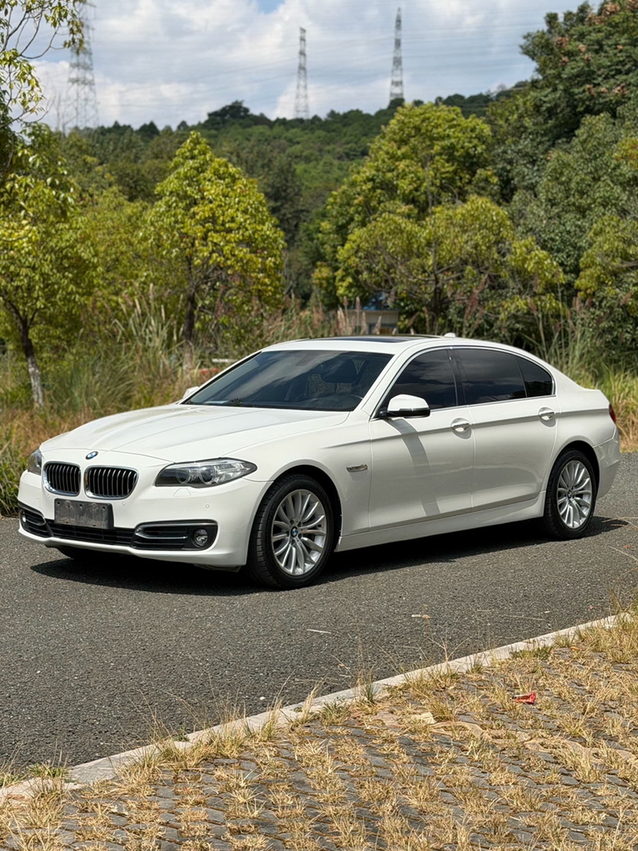 5 Series 2014 525Li Luxury Design Package