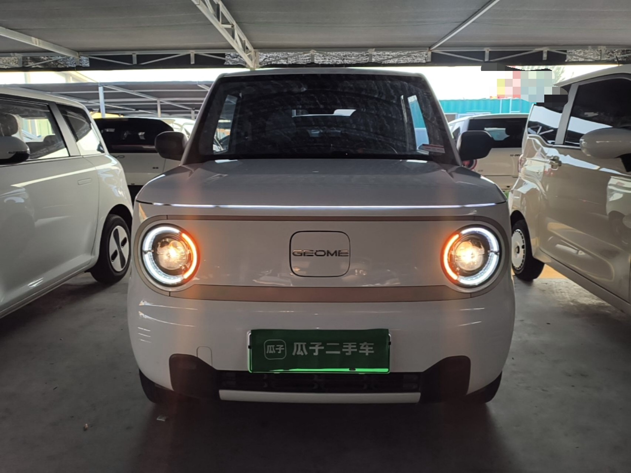 2024 Panda mini 200km Endurance Bear photo 2