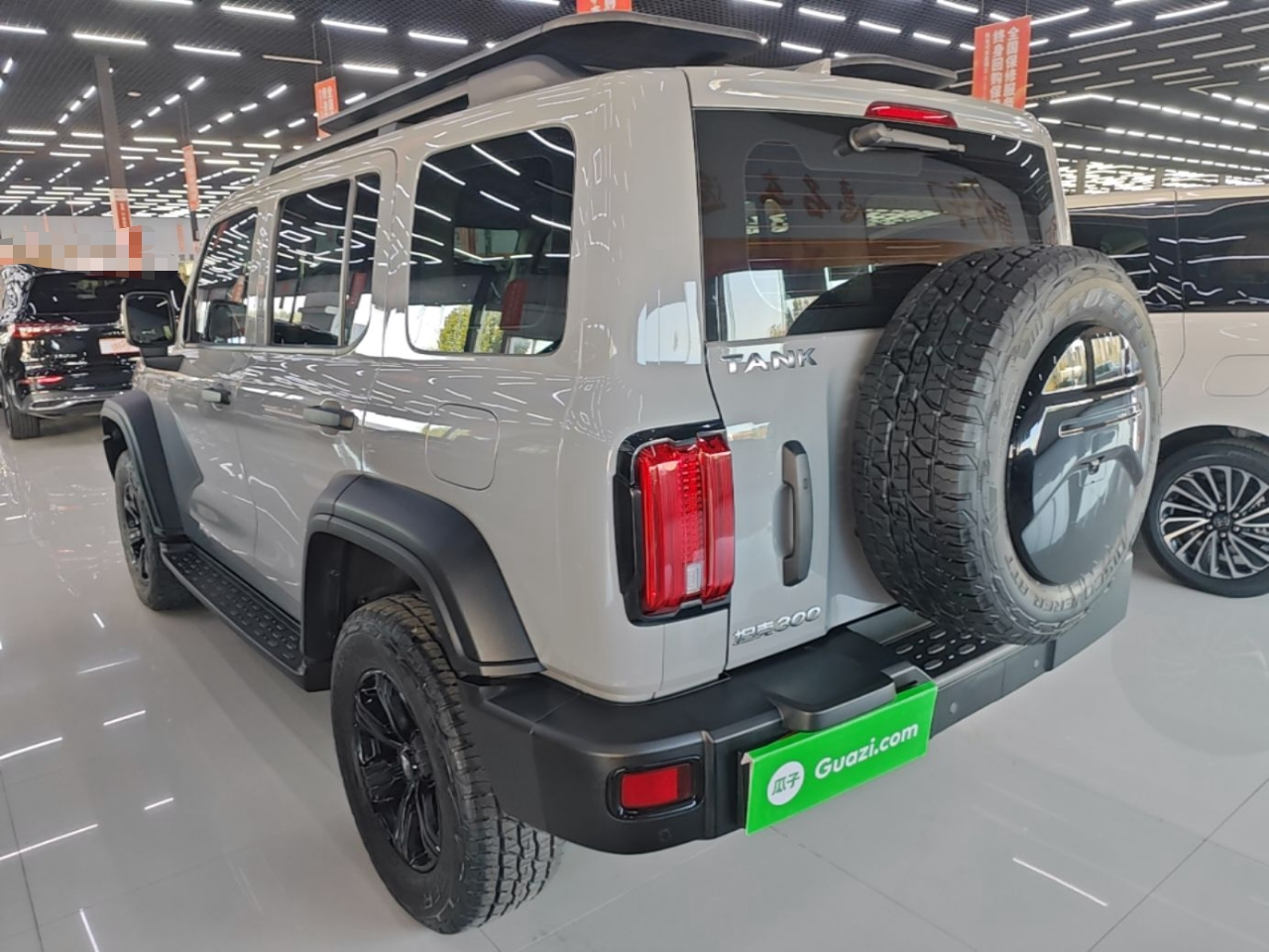 300 2021 Off-road 2.0T Conqueror photo 4