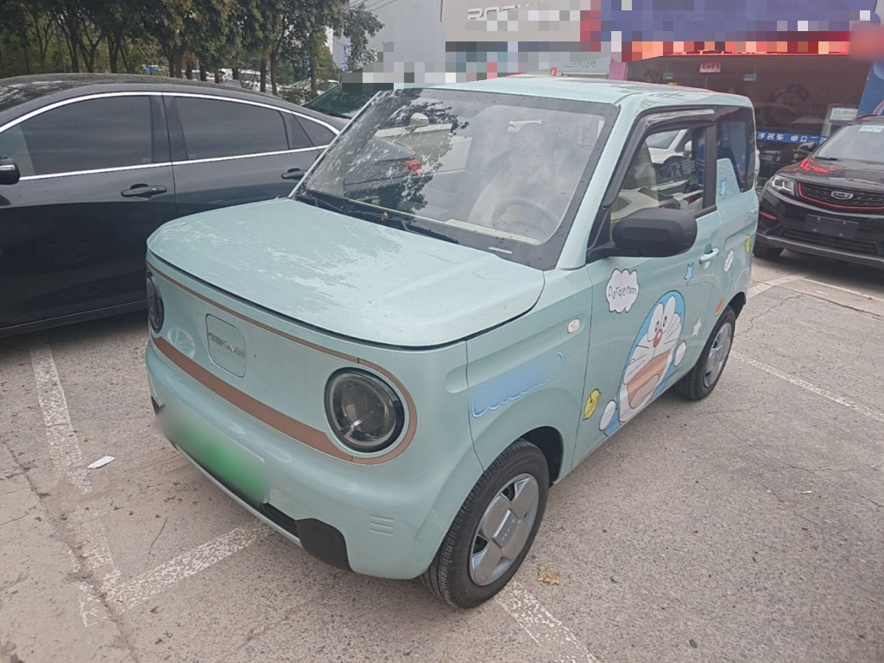 2024 Panda mini 200km Endurance Bear